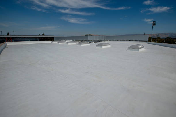 Best Roof Moss and Algae Removal  in Oakes, ND