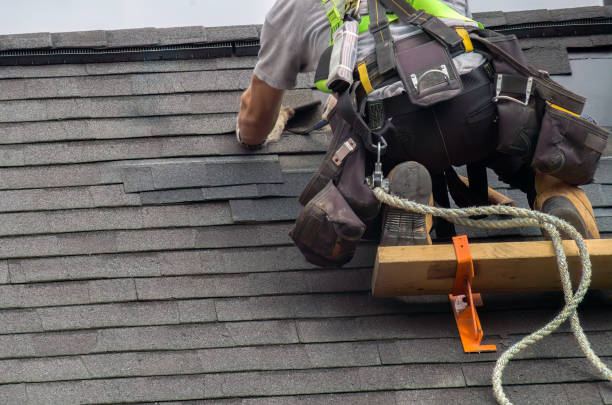 Best Roof Insulation Installation  in Oakes, ND